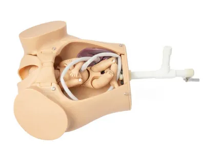 P54 Симулятор для отработки акушерских навыков с ручным позиционированием плода с дополнительными возможностями