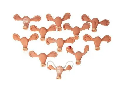 F30S Тренажер для отработки навыков гинекологического обследования