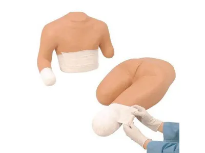 1005682 Набор из двух моделей для тренировки наложения повязок на ампутационные конечности