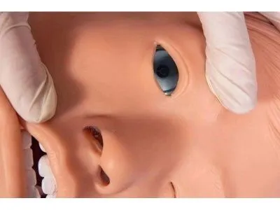 P1099 РУСЛАН Манекен-симулятор для отработки навыков промывания желудка, дренирования двенадцатиперстной кишки и желудочно-кишечной декомпрессии (с контроллером)