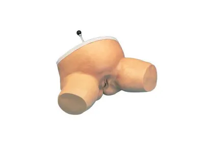 1005589 Имитатор родов, демонстрации и практики пальпации родового канала