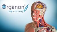 310_Програма_3D_Organon