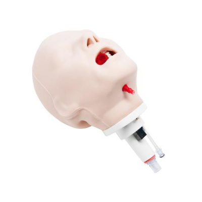 310_1019711 Голова к тренажеру CPR Lilly, для работы на дыхательных путях  2
