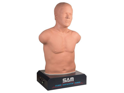 1020095 Манекен SAM II, модель со светлой кожей