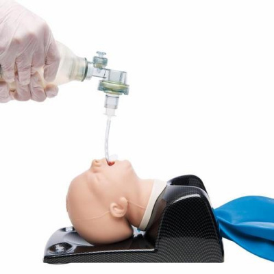 300_1015536 AirSim Baby X 3