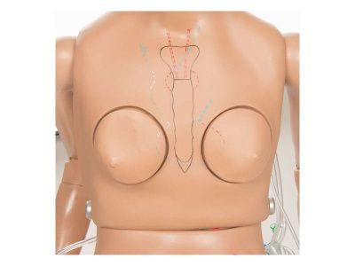 1017543 Тренажер неотложной помощи CPR SUSIE® для ухода за пациентом и реанимации