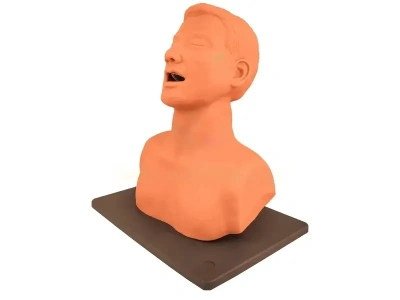 Тренажер для отработки навыков диагностики заболеваний голосовых связок (опухоли голосовых связок) ВОЛОДЯ-ЛОР ВОКАЛ #1_1