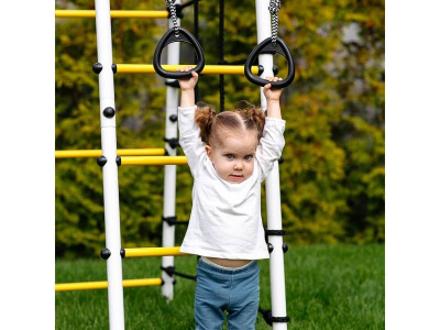 Детский спортивный комплекс для дачи ROMANA Богатырь Плюс-2 (желтый/серый)_3